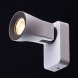 Спот MW-Light Астор, 1 плафон, белый с серым (545021001)