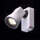 Спот MW-Light Астор, 1 плафон, белый с серым (545021001)