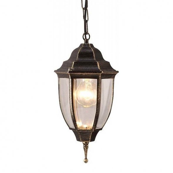 Подвес уличный Arte Lamp Pegasus, 1 плафон, коричневый с золотом и прозрачным (A3151SO-1BN)