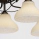 Люстра подвесная MW-Light Тетро, 5 плафонов, коричневый с бронзой, белый с бежевым (673012105)