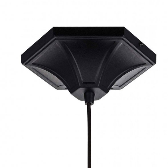 Подвес Favourite Septum, 1 плафон, черный с золотом (2039-1P)