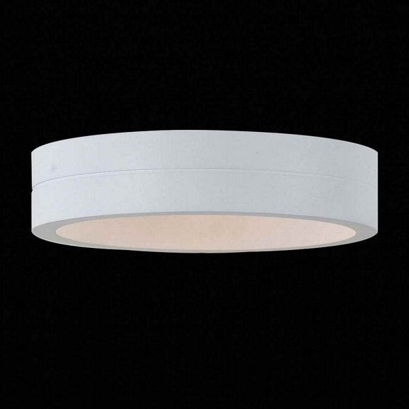Светильник настенный уличный светодиодный ST Luce, 1 плафон, белый (SL562.501.01)