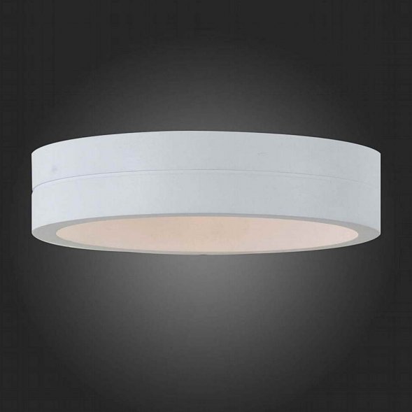 Светильник настенный уличный светодиодный ST Luce, 1 плафон, белый (SL562.501.01)
