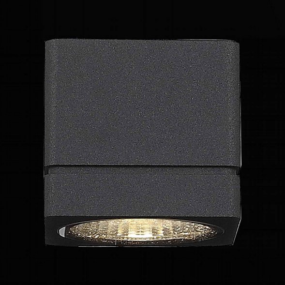 Светильник уличный настенный светодиодный ST Luce Coctobus, 1 плафон, черный, прозрач (SL563.401.01)