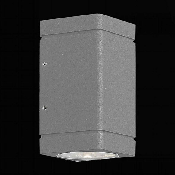 Светильник уличный настенный светодиодный ST Luce Coctobus, 2 плафона, серый, прозрач (SL563.701.02)