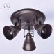 Спот MW-Light Ринген, 3 плафона, коричневый с бронзой (547020403)